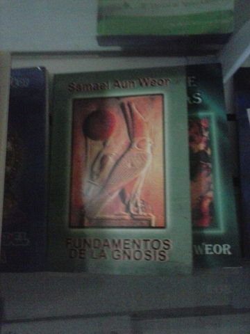 los fundamentos dela gnosis